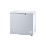 CONGELATORI A POZZETTO G-BD205S
