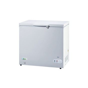 CONGELATORI A POZZETTO G-BD205S
